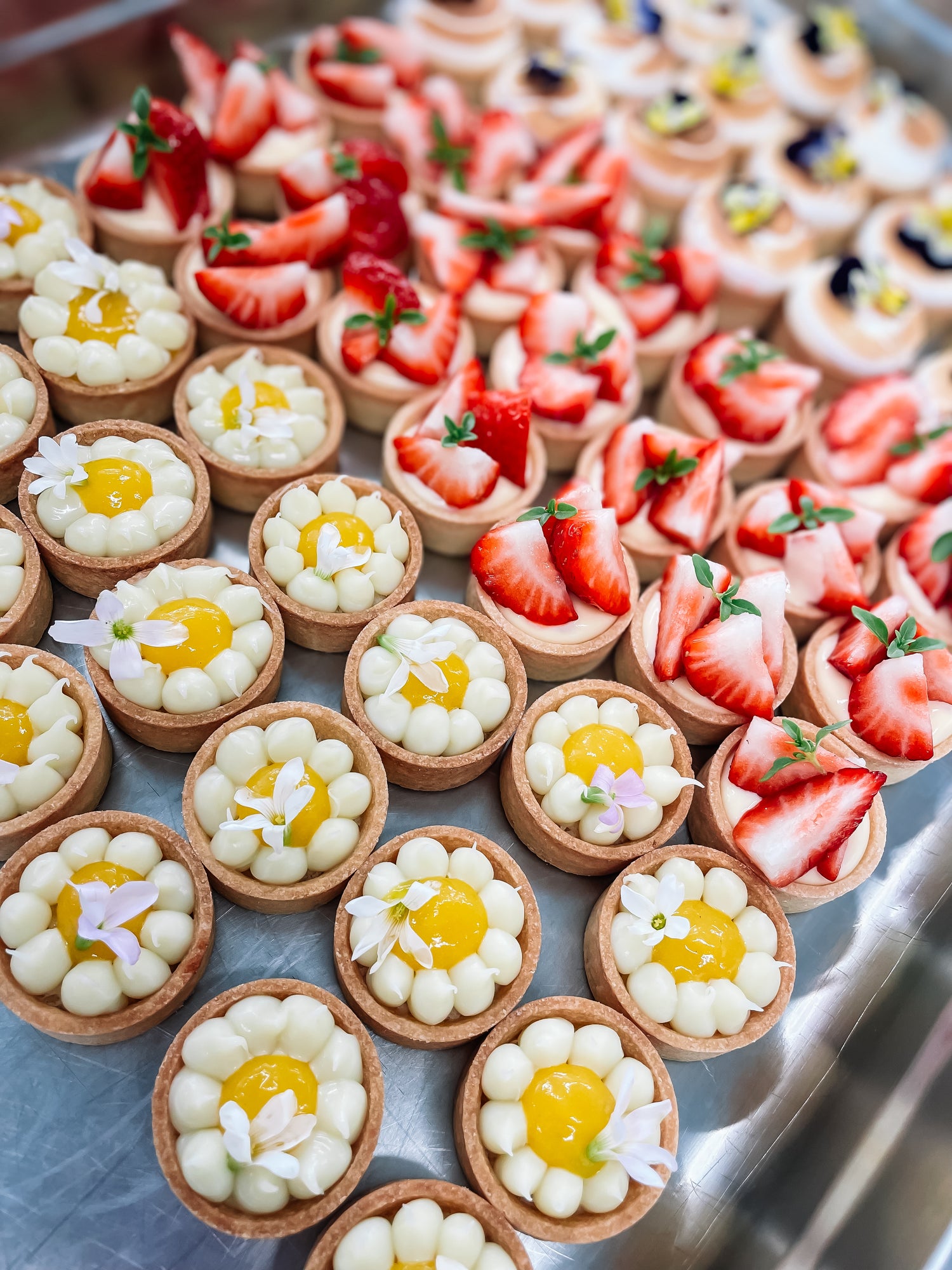 Mini fruit tartelette